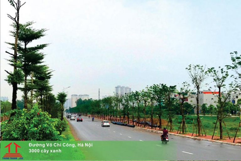 vo chi cong ha noi1