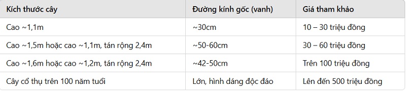 Giá tùng la hán dáng huyền