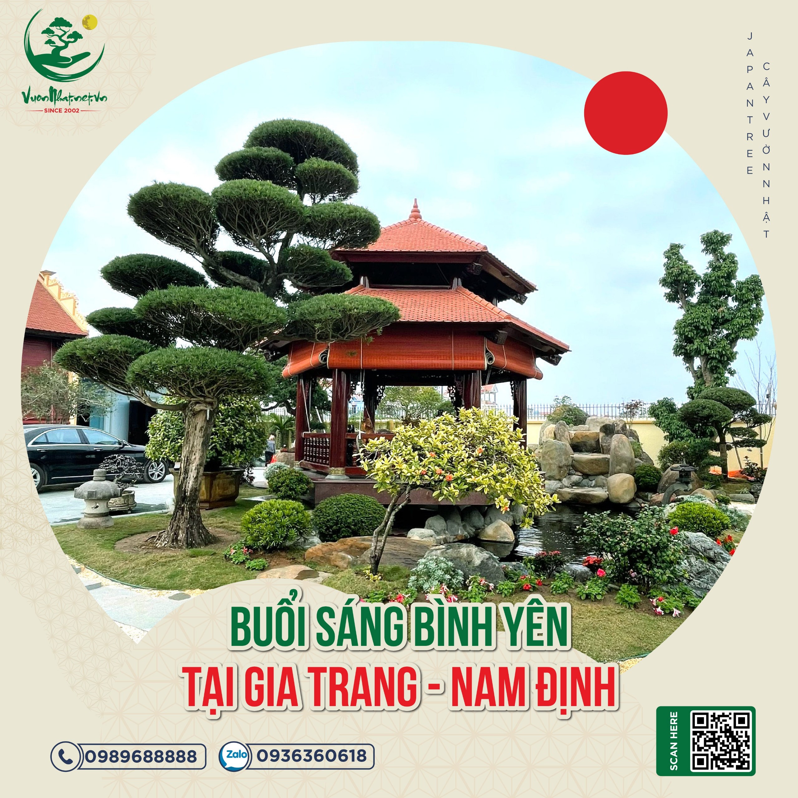 (Hình ảnh cây Tùng la hán tại Lưu Gia Trang - Nam Định)