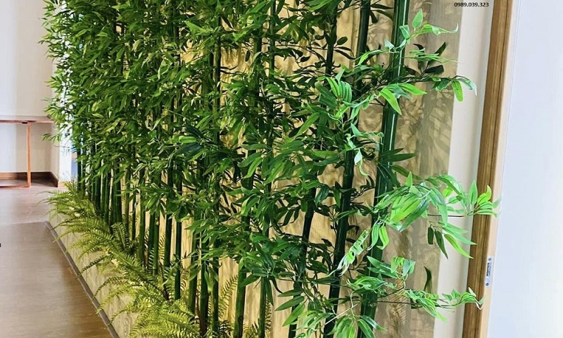 Top 10 Loại Cây Biểu Tượng Cho Người Trụ Cột Trong Gia Đình
