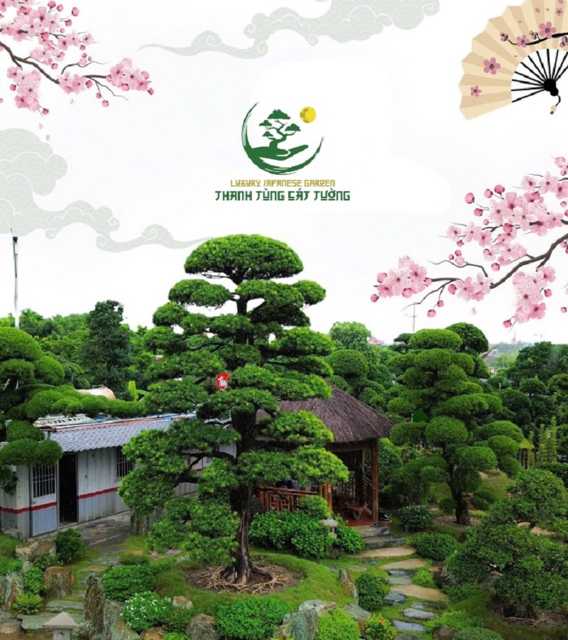 Thị Trường Ngầm và Những Đại Gia Kín Tiếng