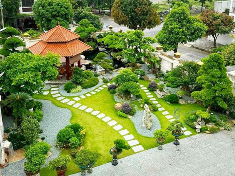 Cách sử dụng cỏ nhung nhật làm tiểu cảnh