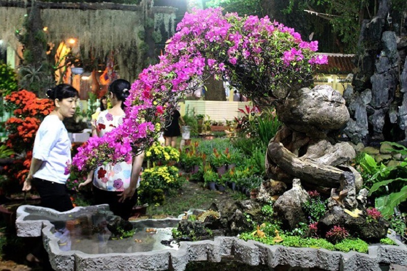 Top 25+ mẫu cây cảnh bonsai đẹp, hợp phong thuỷ