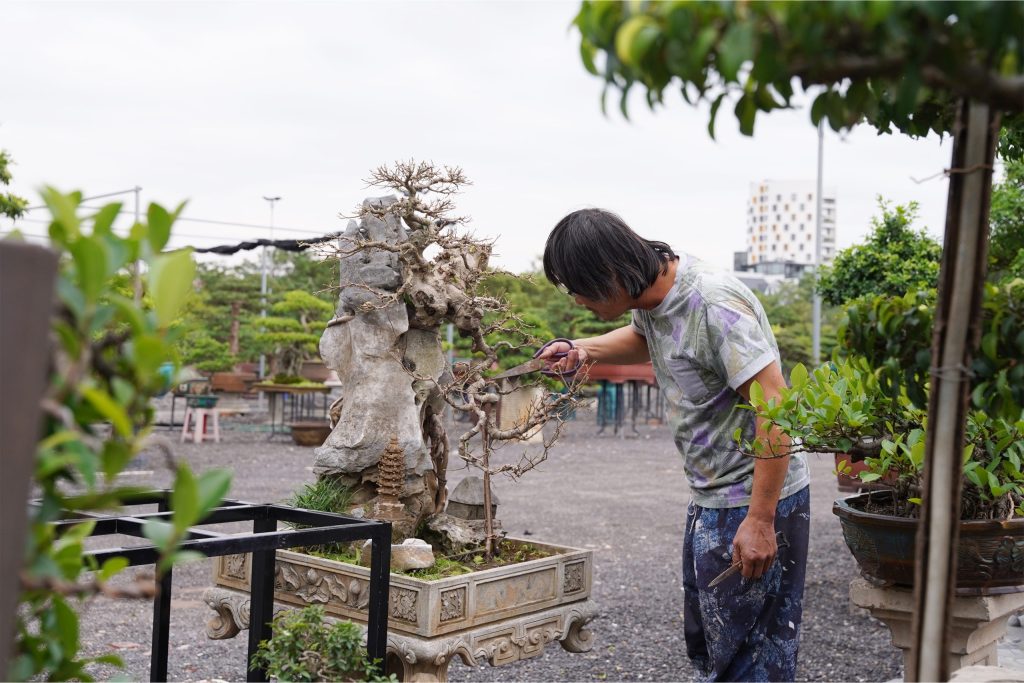 Nghệ Thuật Tạo Hình Cây Niwaki Là Gì?