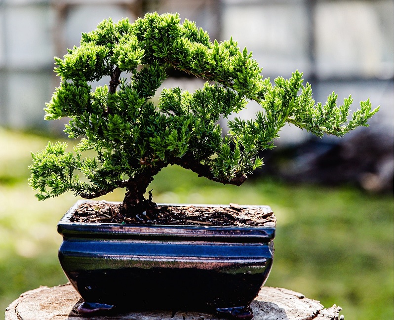 Thế Hoành – Huyền – Thác đổ