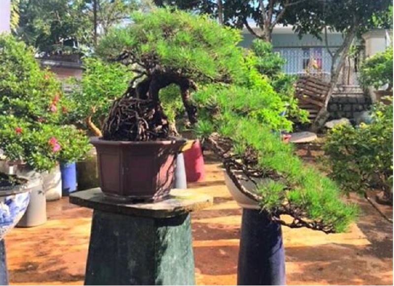 Thế Hoành – Huyền – Thác đổ