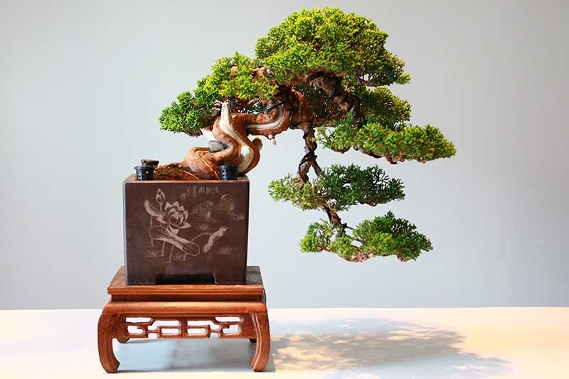 Thế Hoành – Huyền – Thác đổ