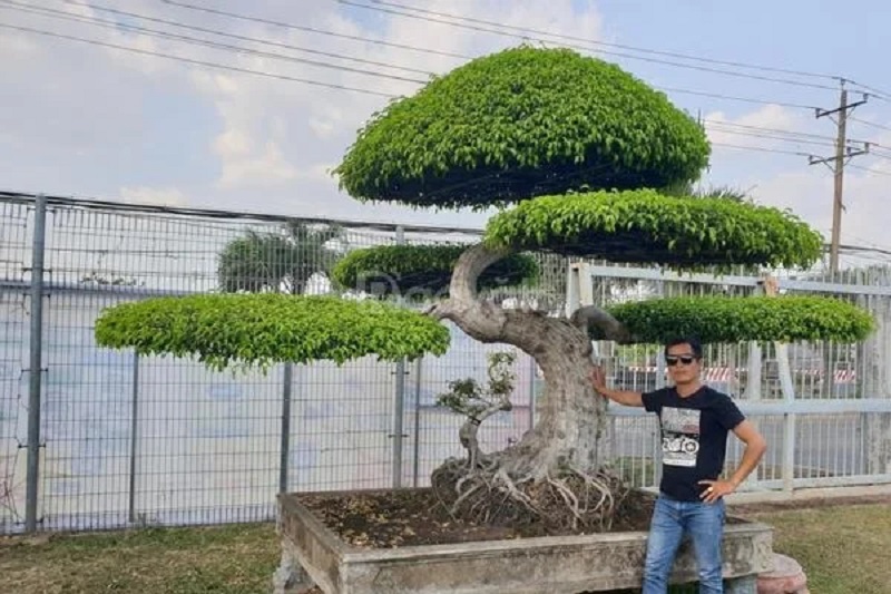 Thế Long – Biểu tượng quyền uy