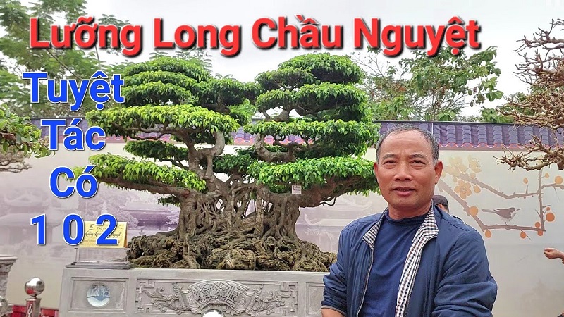 Thế Long – Biểu tượng quyền uy