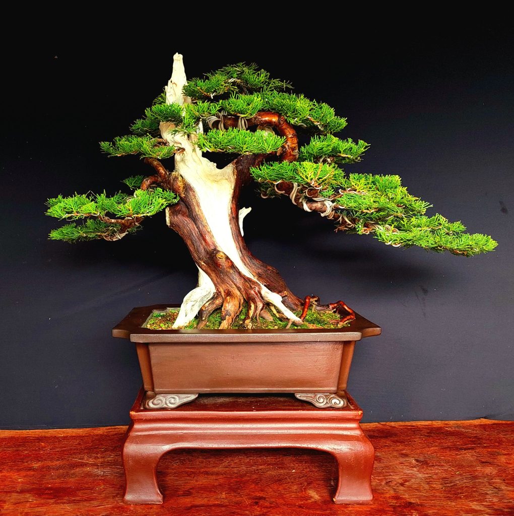 Thế Phúc – Sum vầy, sung túc
