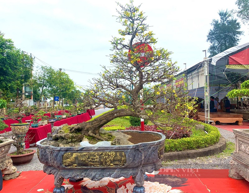 Thế Xiêu – Uyển chuyển, linh hoạt