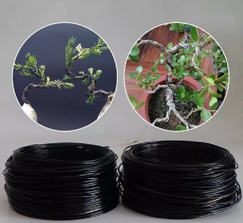 Vai trò của dây kẽm trong uốn cây cảnh