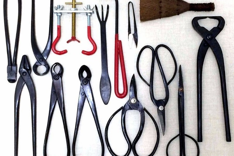 Chuẩn bị dụng cụ cơ bản để uốn cây