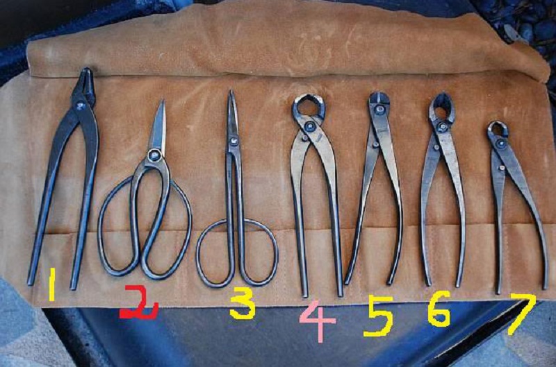 Đặc điểm của dáng thế 3 thân trong bonsai