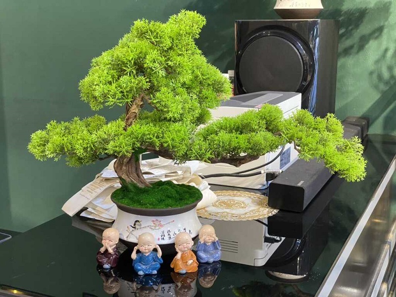 Công dụng của Tùng Bách Tán