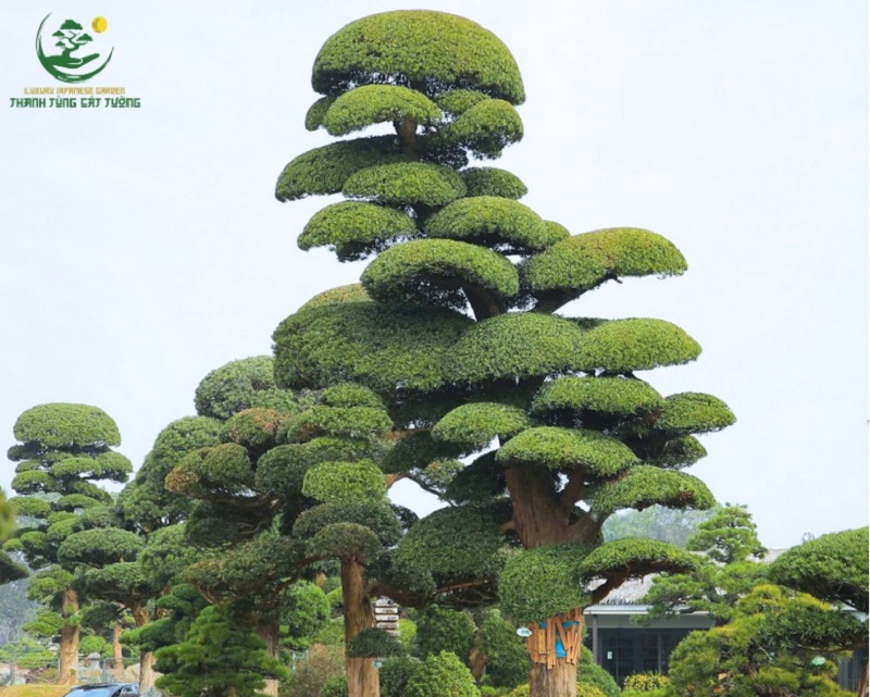 Giá trị thẩm mỹ và nghệ thuật vượt thời gian