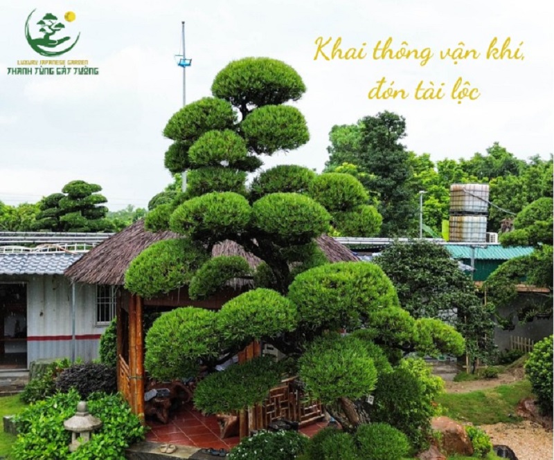 Tạo điểm nhấn không gian ngoại thất và nội thất cao cấp