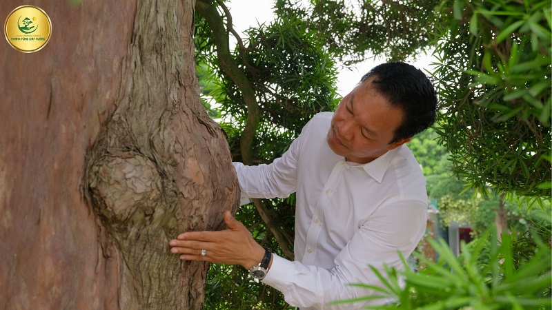 Tính biểu tượng riêng biệt và khác biệt