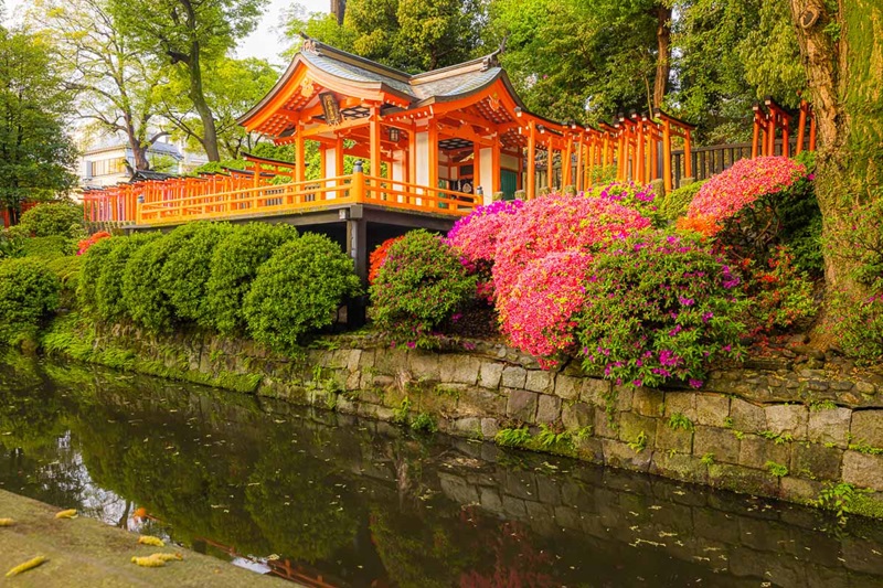 10 lễ hội hoa đỗ quyên nổi bật nhất Nhật Bản