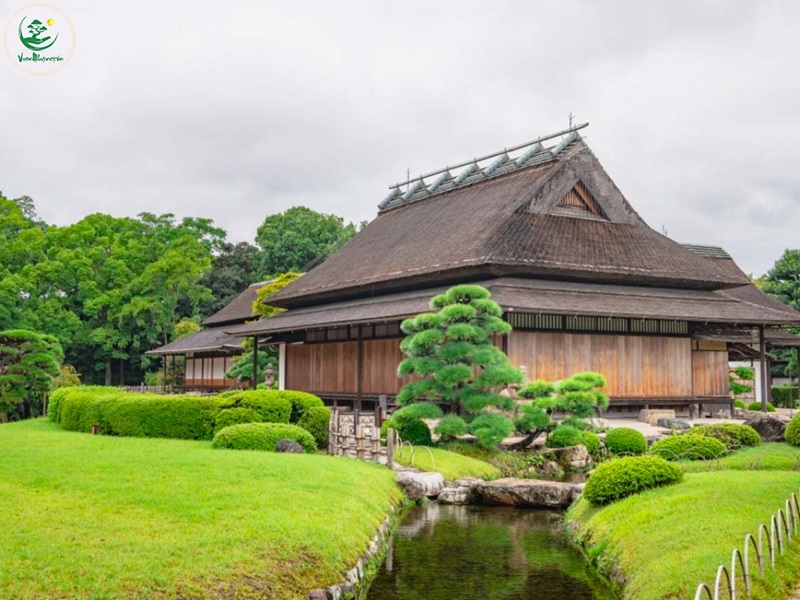 Ý nghĩa phong thủy